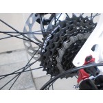 Спортен велосипед FERINI FASTER 28 цола с 24 скорости преден амортисьор диск Спортен велосипед FERINI FASTER 28 цола с 24 скорости преден амортисьор диск